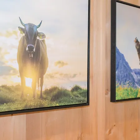 Forellenhof 4* פלאכאו