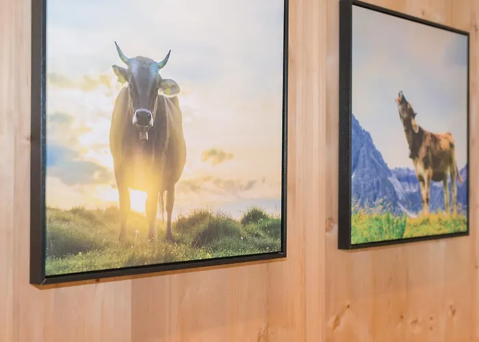 Forellenhof 4* Flachau